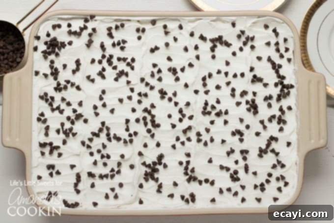 This Mocha Lush recipe is a light, airy and cool dessert that serves up delicious, chocolatey, mocha flavor. One-pan Mocha Lush is perfect for potlucks! #mochalush #lushdesserts #onepandesserts #nobakedesserts #onepan #nobake #chocolatedesserts #puddingdesserts  Mocha lush in a baking dish, showcasing its layered structure before serving