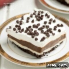 Mocha Velvet 2 mocha lush lasagna dessert on a plate