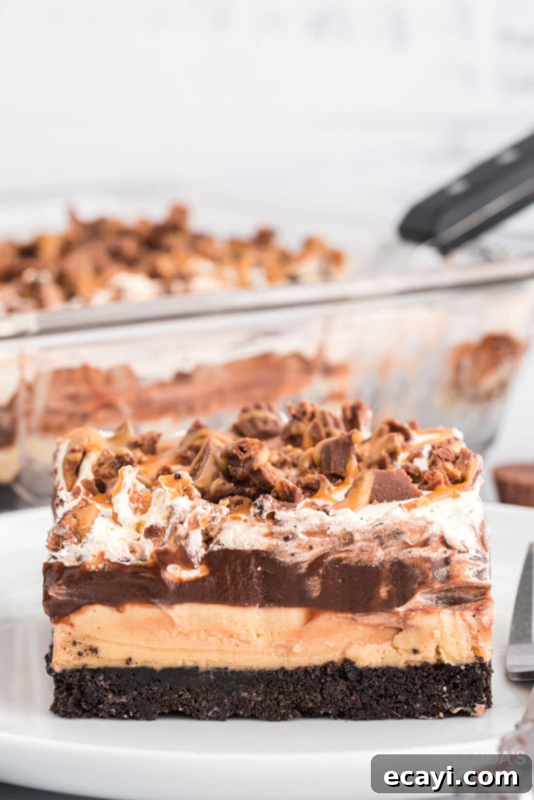 Decadent Chocolate Peanut Butter Stack 2 slice of Chocolate Peanut Butter Lasagna
