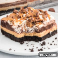Decadent Chocolate Peanut Butter Stack 17 Chocolate Peanut Butter Lasagna