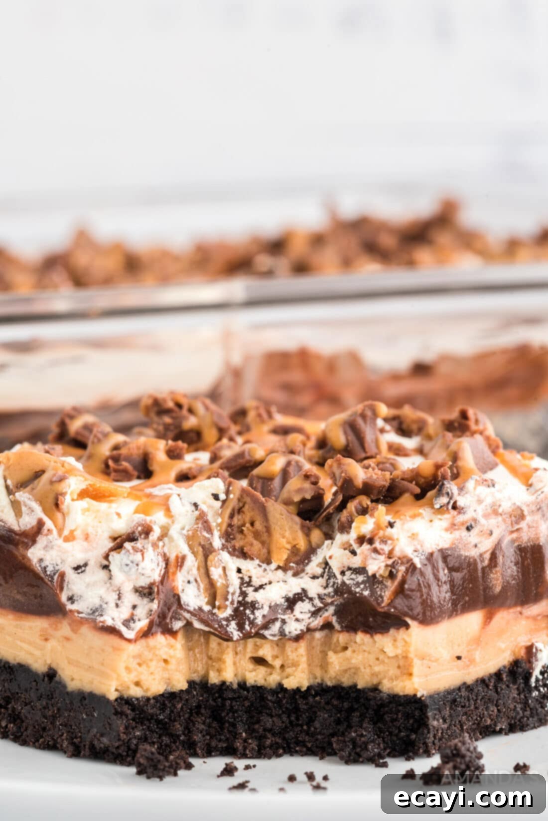 Decadent Chocolate Peanut Butter Stack 3 Chocolate Peanut Butter Lasagna  with a bite removed