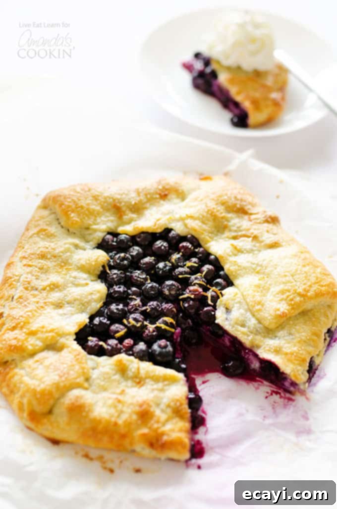 Golden Lemon Blueberry Galette 2 Lemon Blueberry Galette