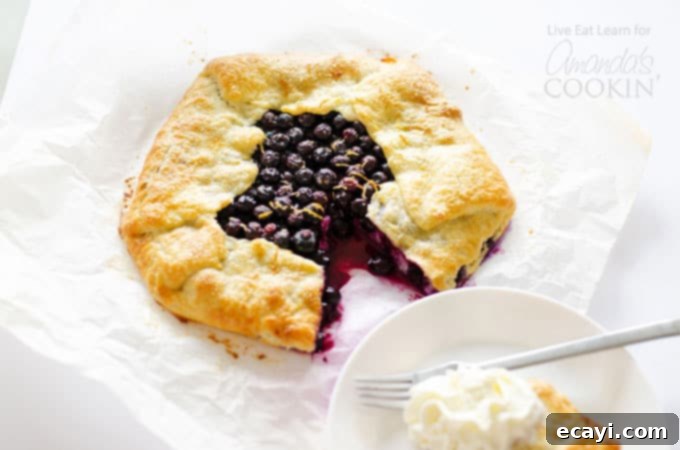 Golden Lemon Blueberry Galette 5 Make this simple and delicious lemon blueberry galette!