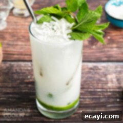 Island Coconut Dream 9 coconut mojito garnished with fresh mint and coconut flakes