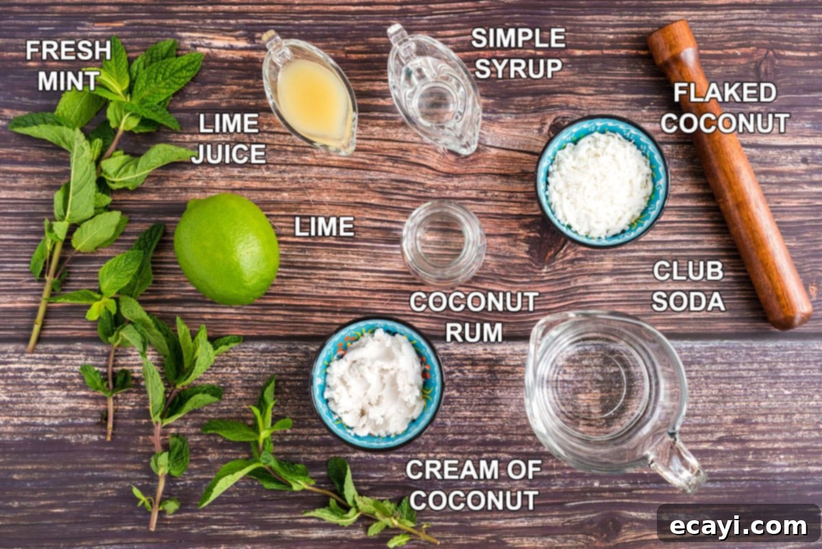 Island Coconut Dream 2 labeled ingredients for coconut mojito