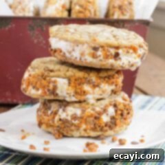 Butterfinger Crunch Ice Cream Sandwiches 10 Recipe for Butterfinger Ice Cream Sandwiches