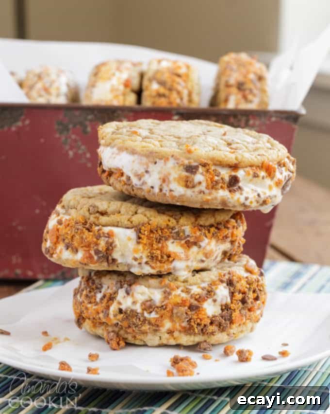 Butterfinger Crunch Ice Cream Sandwiches 7 Delicious Butterfinger ice cream sandwiches