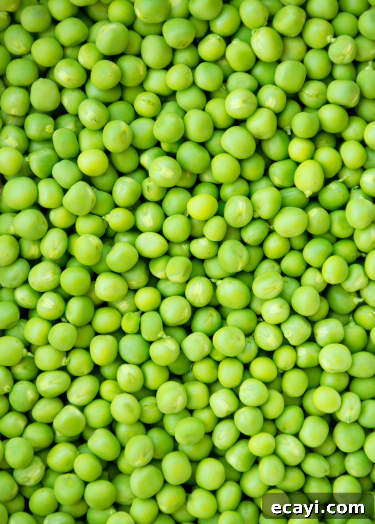 Verdant Pea Risotto 4 Bright green, perfectly shelled sweet peas, ready for a delicious recipe