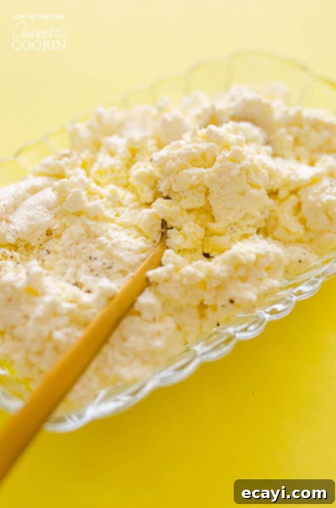 Instant Homemade Ricotta 2 Homemade ricotta cheese recipe