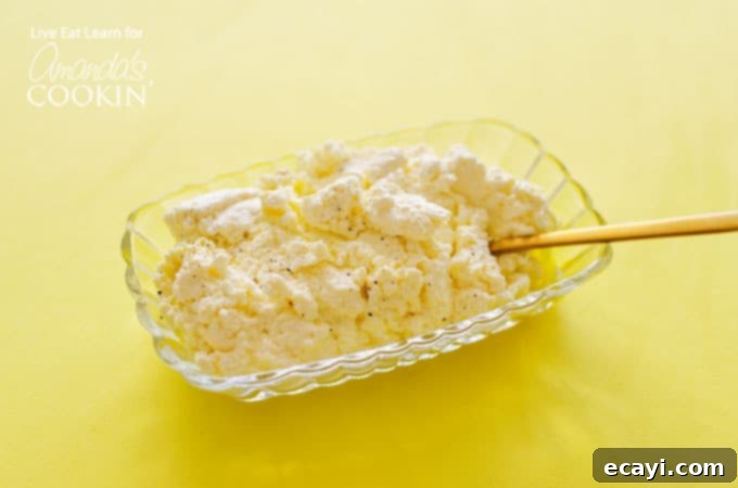 Instant Homemade Ricotta 5 homemade ricotta cheese