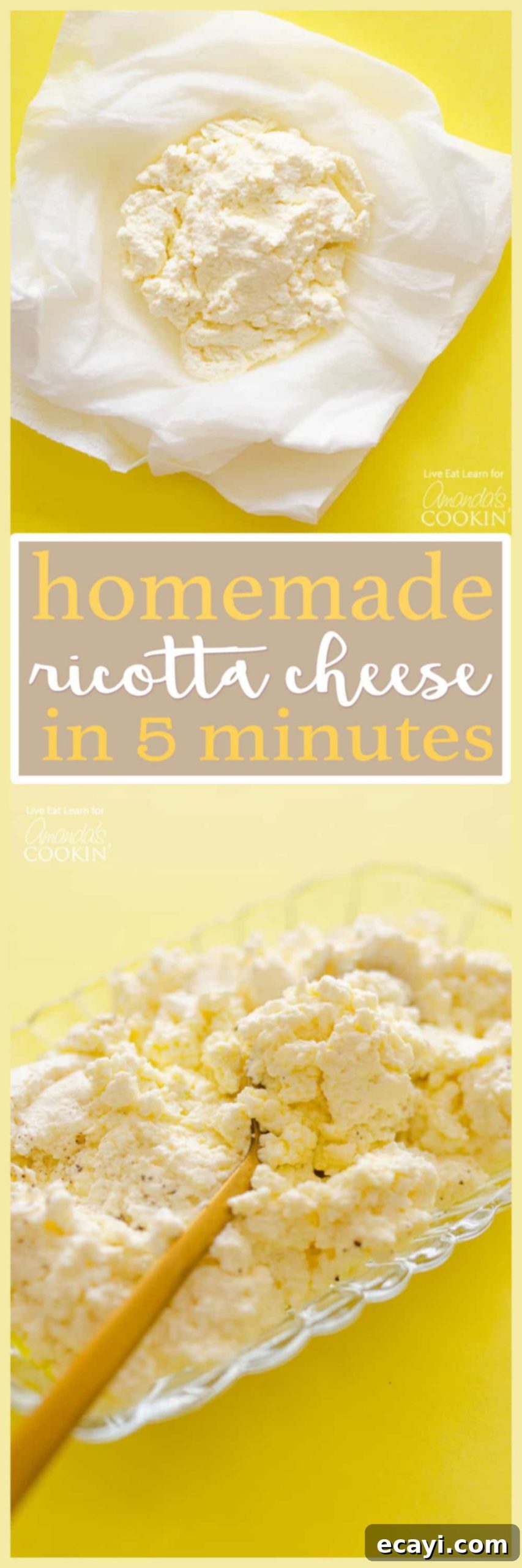 Instant Homemade Ricotta 7 pinterest image with text for homemade ricotta
