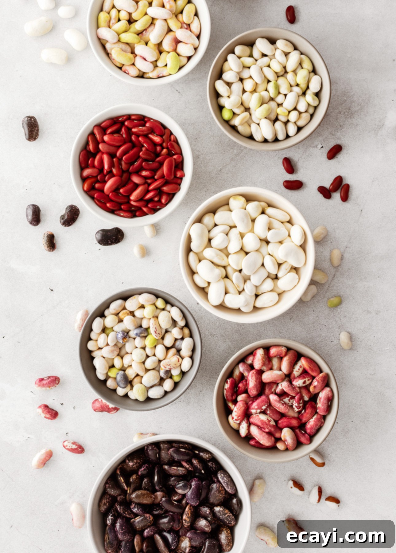 Winter's Soulful Spoonful 5 A variety of dried or canned beans can be used in authentic Italian minestrone soup for added nutrition and texture.
