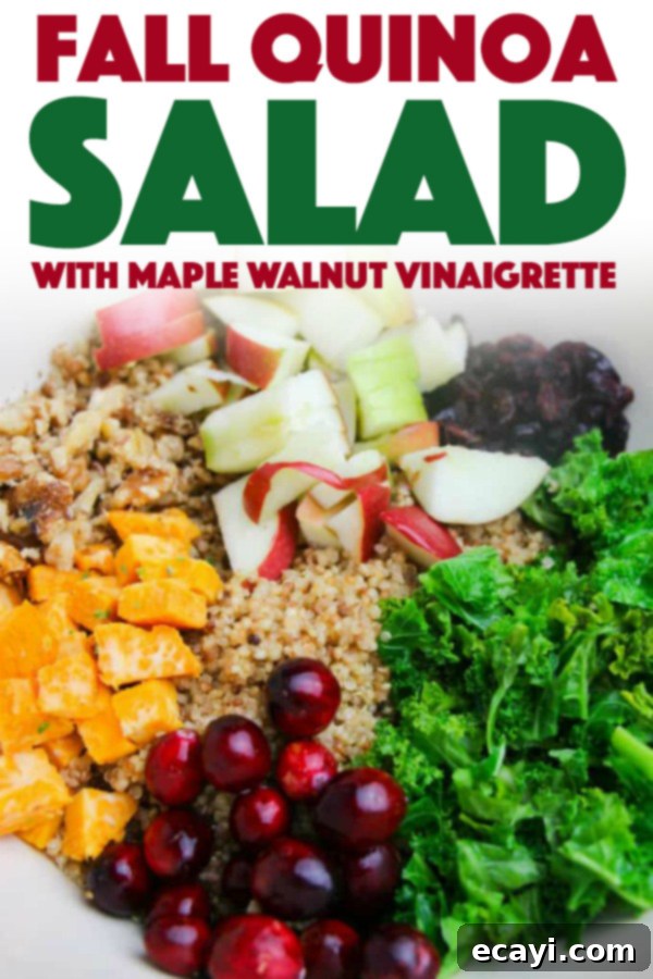 This fall Quinoa Salad is delicious served warm or cold. Either way you choose to make it, our Maple Walnut Vinaigrette tops this salad off perfectly. #maple #quinoa #quinoasalad #saladrecipes #fallrecipes #cranberries #healthyrecipes #vinaigrette #vegetarian Fall Quinoa Salad