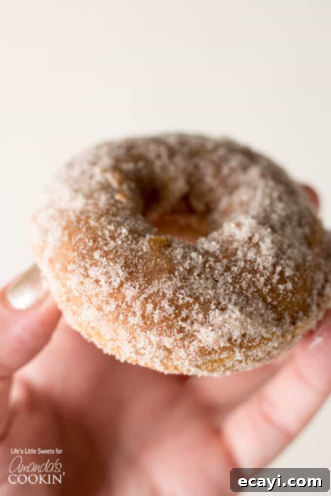 These Pumpkin Spice Donuts are a delicious treat for breakfast OR dessert! #pumpkinspice #donuts #donutrecipe #howtomakedonuts #pumpkinspicerecipes #cakedonuts #pumpkindonuts #mapleglaze A person holding a baked pumpkin spice donut with a maple glaze, showcasing its soft texture and inviting appearance. The focus is on the deliciousness of a single donut.