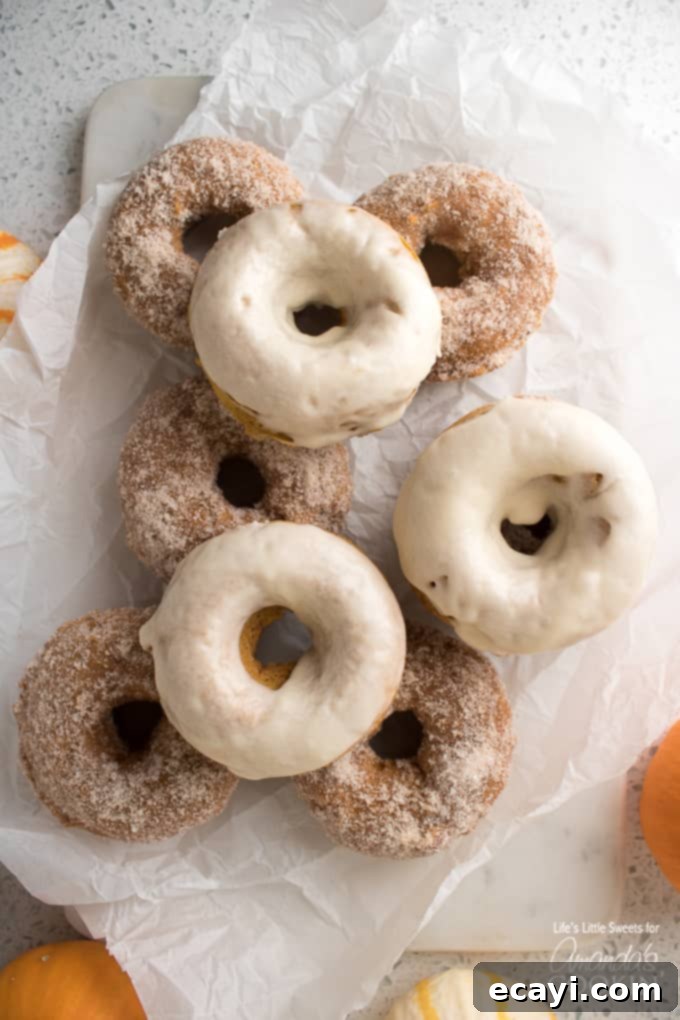 These Pumpkin Spice Donuts are a delicious treat for breakfast OR dessert! #pumpkinspice #donuts #donutrecipe #howtomakedonuts #pumpkinspicerecipes #cakedonuts #pumpkindonuts #mapleglaze An array of pumpkin spice donuts, some coated in a maple glaze and others in a spiced sugar mixture, artfully arranged on a serving platter, showcasing the versatility of toppings.