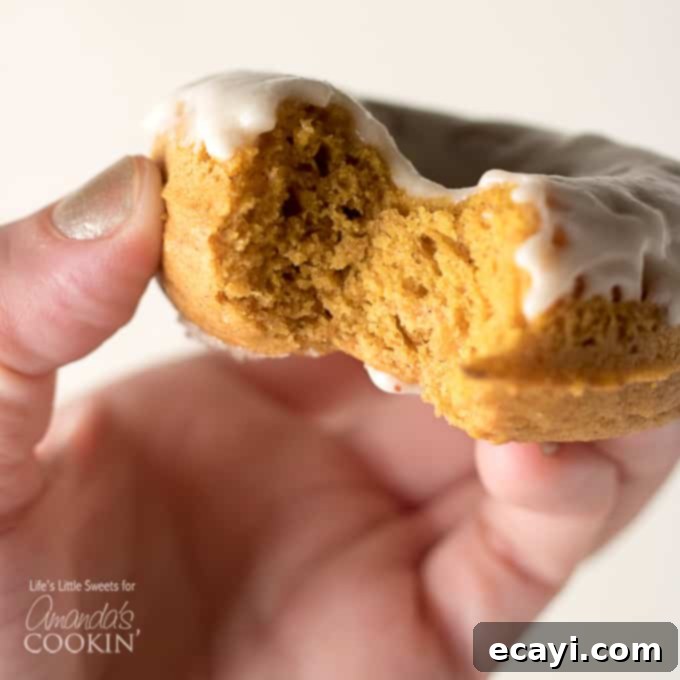 These Pumpkin Spice Donuts are a delicious treat for breakfast OR dessert! #pumpkinspice #donuts #donutrecipe #howtomakedonuts #pumpkinspicerecipes #cakedonuts #pumpkindonuts #mapleglaze A close-up of pumpkin spice donuts, some generously drizzled with a rich maple glaze, others dusted with a fragrant pumpkin spice sugar coating, presented invitingly.