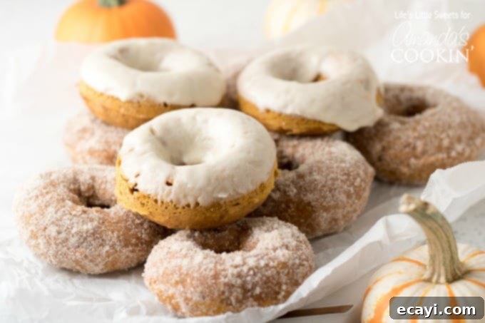 These Pumpkin Spice Donuts are a delicious treat for breakfast OR dessert! #pumpkinspice #donuts #donutrecipe #howtomakedonuts #pumpkinspicerecipes #cakedonuts #pumpkindonuts #mapleglaze Baked pumpkin spice donuts, some with a shimmering maple glaze and others generously coated in a spiced sugar mix, presented ready to be enjoyed, showcasing their dual topping options.