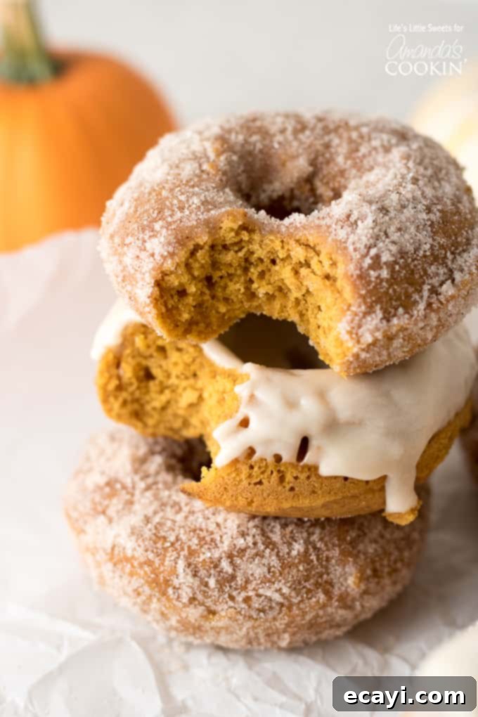 These Pumpkin Spice Donuts are the perfect moist cake donuts that are topped with a pumpkin spice - sugar mixture and/or a maple glaze. A stack of three pumpkin donuts, two of which have bites taken out, revealing their moist, cake-like interior. The donuts are topped with a delicate maple glaze and a spiced sugar coating.