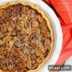 Classic Pecan Pie 6 overhead photo of pecan pie