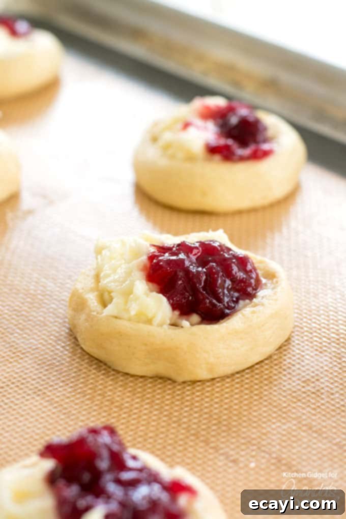 Cranberry Cream Cheese Delights 3 cream cheese and cranberry on top of dough