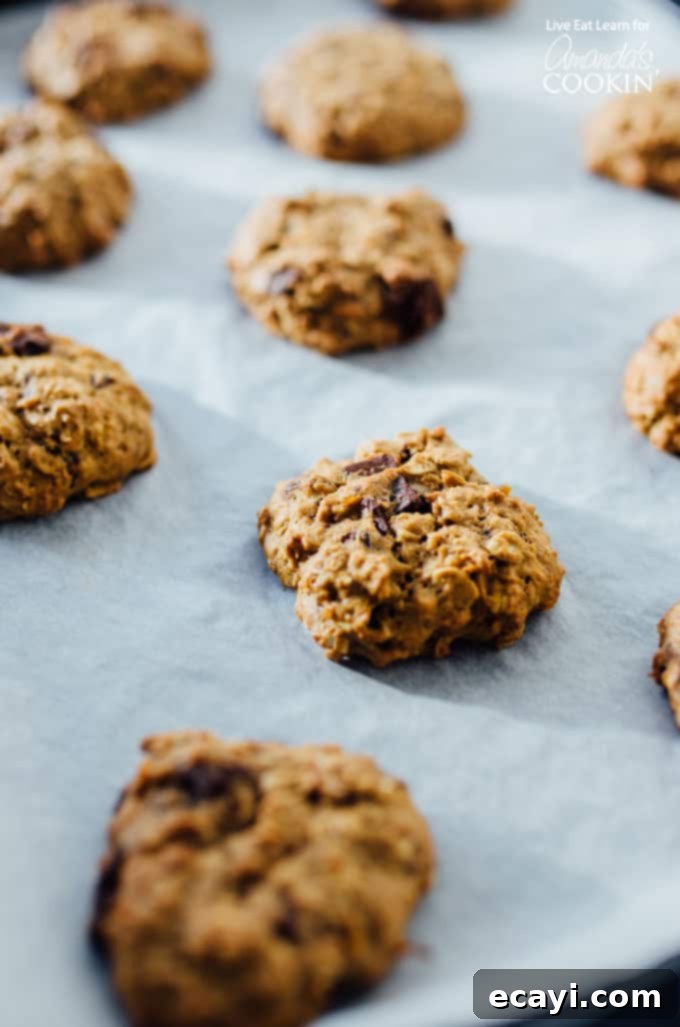 These Sweet Potato Oat Cookies are chocolatey, moist, and oaty, making them perfect for your holiday cookie exchange this year. #oats #cookies #cookierecipes #sweetpotato #chocolate #healthy sweet potato oat cookies out of oven