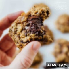 Wholesome Sweet Potato Oat Treats 2 A half eaten cookie