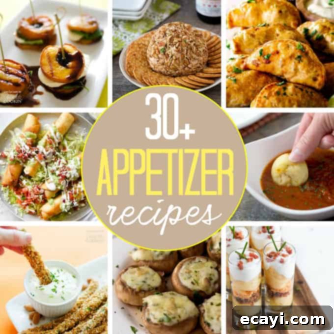 Thirty Irresistible Appetizer Recipes 2 A collection of delicious and easy appetizers for any occasion!