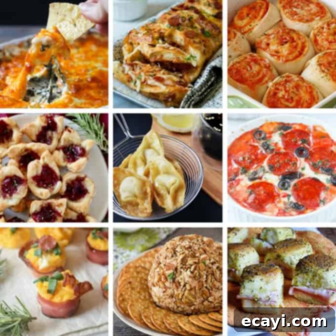 Thirty Irresistible Appetizer Recipes 4 Cheesy appetizers!