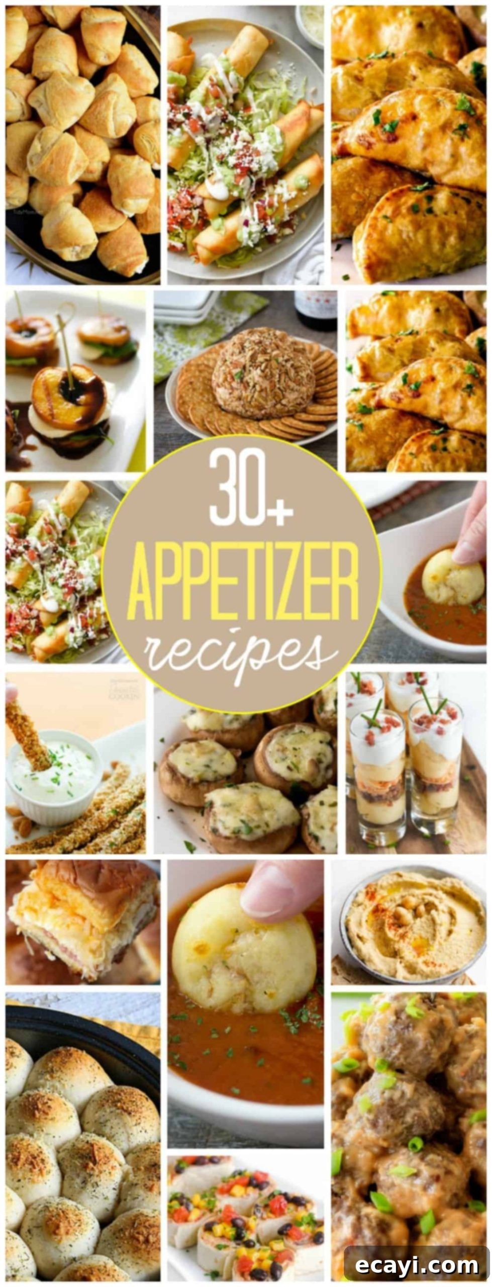 Thirty Irresistible Appetizer Recipes 10 pinterest image that says 30+ appetizer recipes