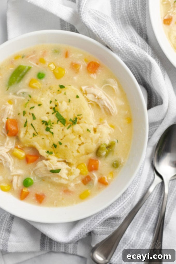 This crockpot chicken and dumplings recipe is creamy, hearty and delicious with a to-die-for gravy and the perfect balance of protein and vegetables. #crockpot #crockpotrecipes #chickenrecipes #chickenanddumplings #dumplings #souprecipes #easydinner close up bowl of chicken and dumplings