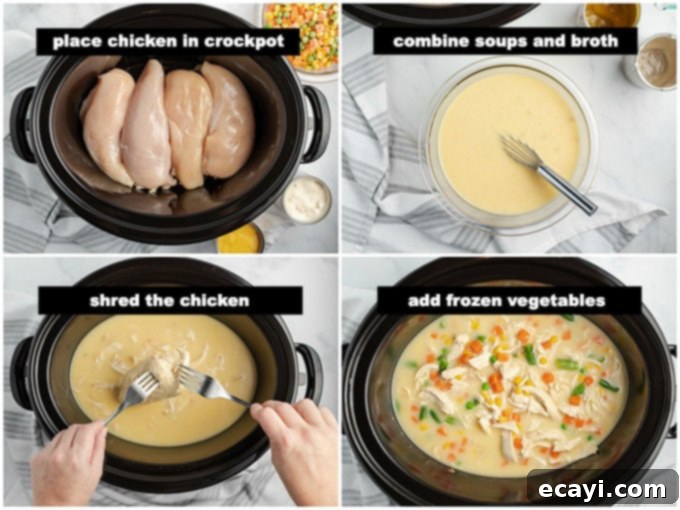 Hearty Slow Cooker Chicken and Dumplings 2 crockpot with chicken and broth and vegetables