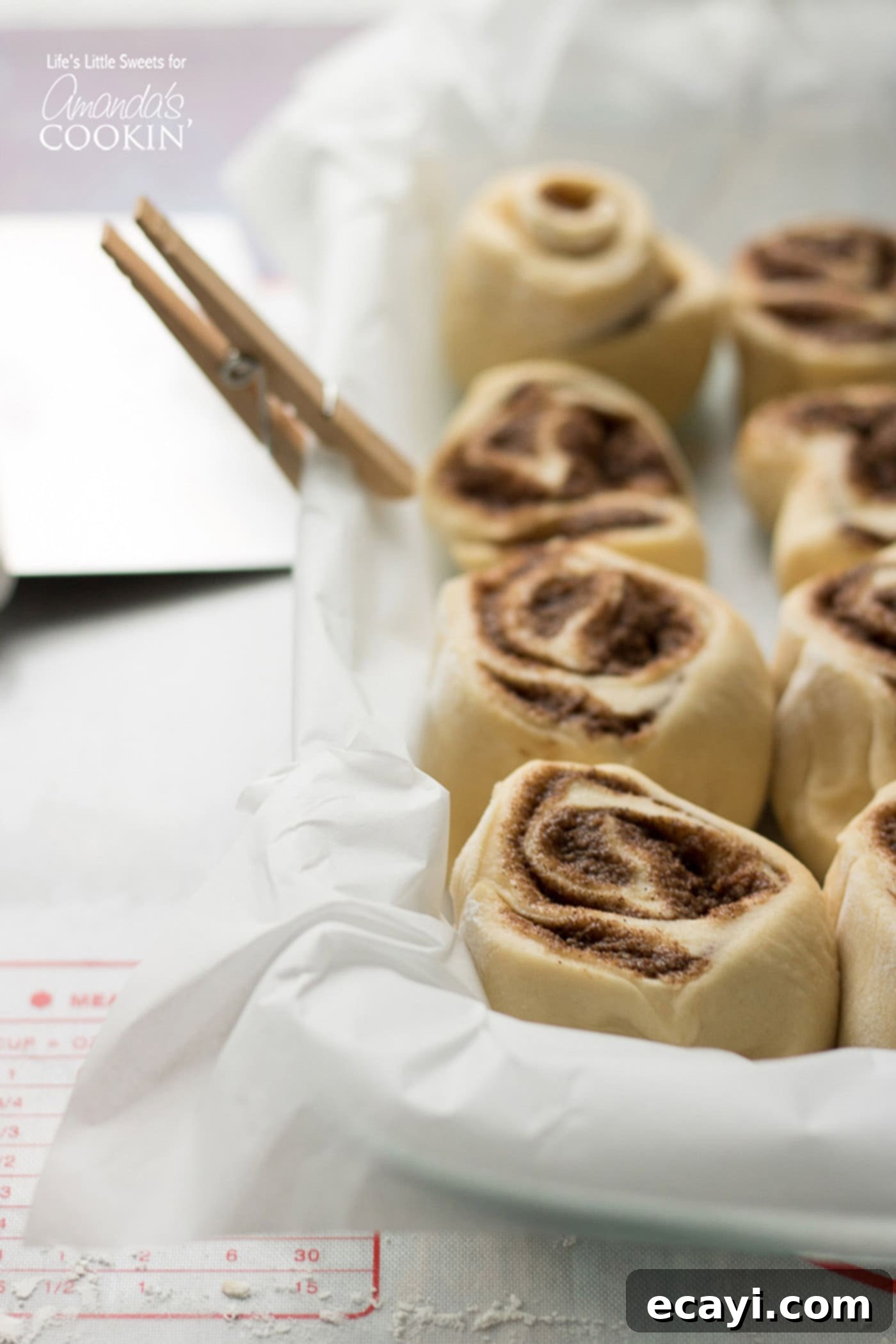 Sweet Cinnamon Comfort Rolls 6 Unbaked Homemade Cinnamon Rolls arranged in a 13x9 pan