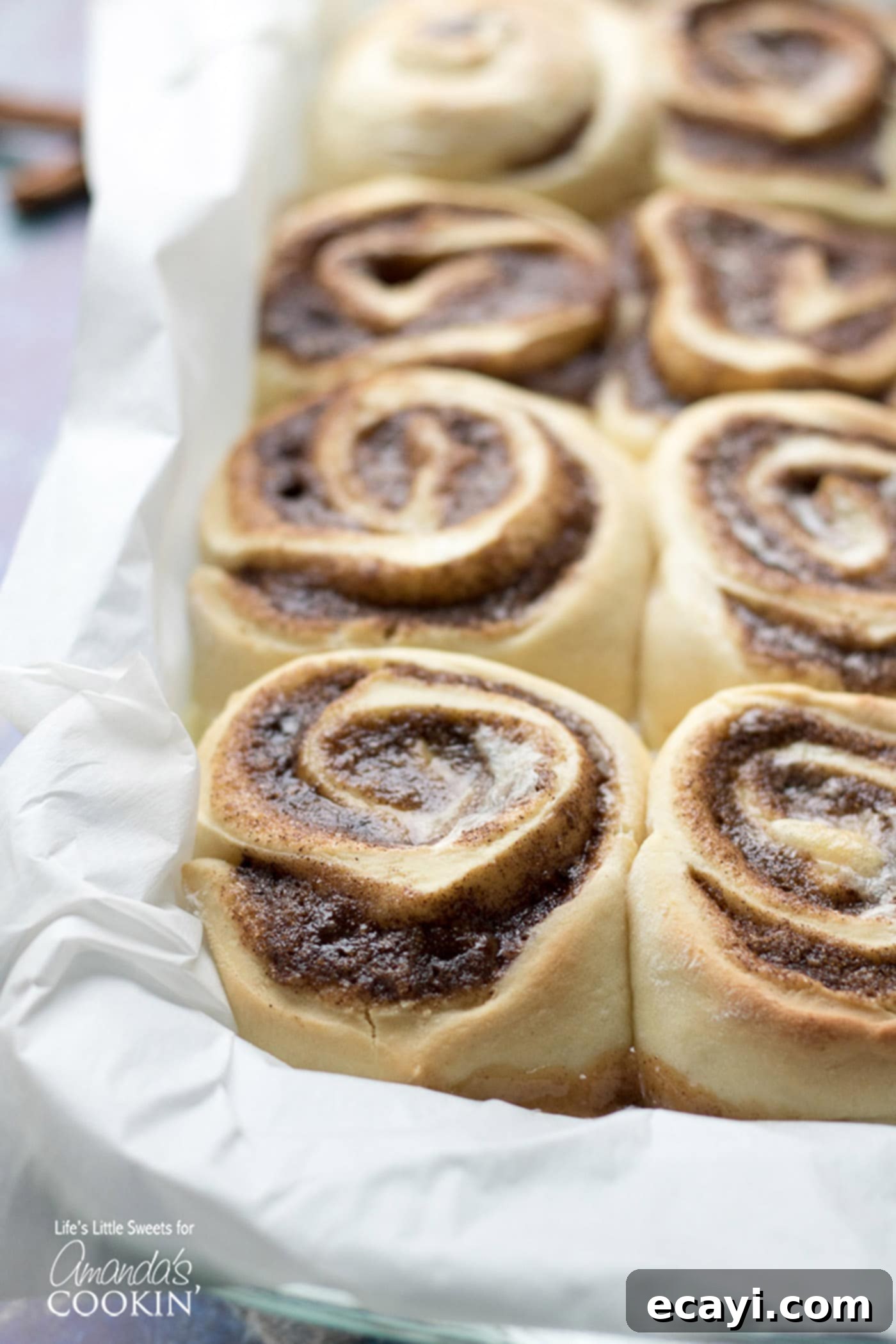 Sweet Cinnamon Comfort Rolls 7 Unbaked Homemade Cinnamon Rolls in a 13x9 pan that have doubled in size and are ready for baking