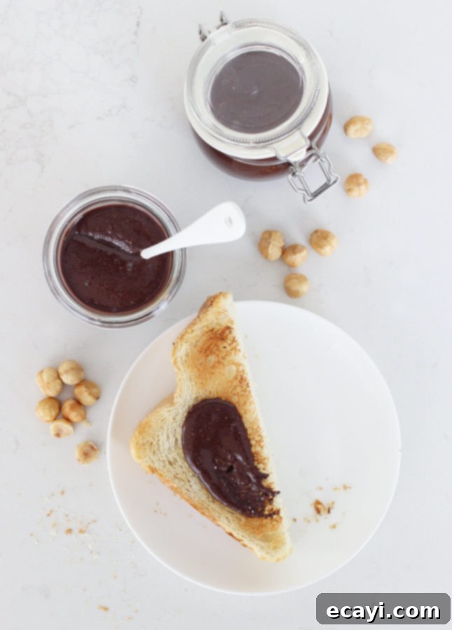 Homemade Dairy-Free Chocolate Hazelnut Bliss 3 Homemade Chocolate Hazelnut Spread (Dairy-Free Version) // FoodNouveau.com