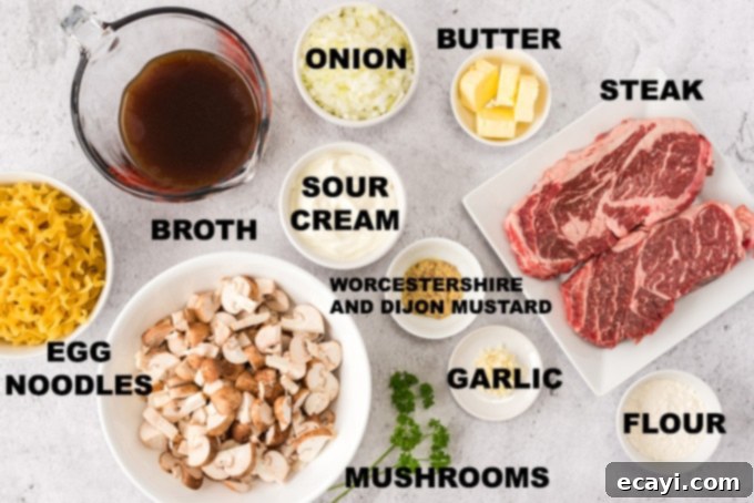 This classic beef stroganoff recipe from scratch features tender slices of steak and savory mushrooms smothered in creamy brown gravy that's ready in 30! ingredients for beef stroganoff