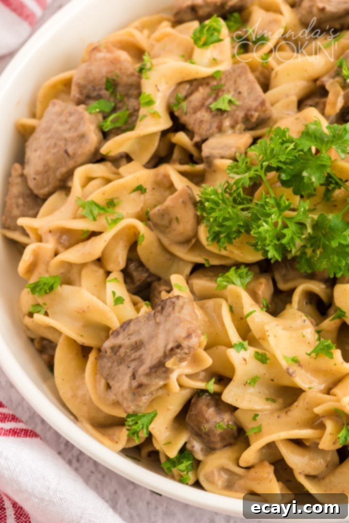 This classic beef stroganoff recipe from scratch features tender slices of steak and savory mushrooms smothered in creamy brown gravy that's ready in 30! bowl of beef stroganoff with egg noodles