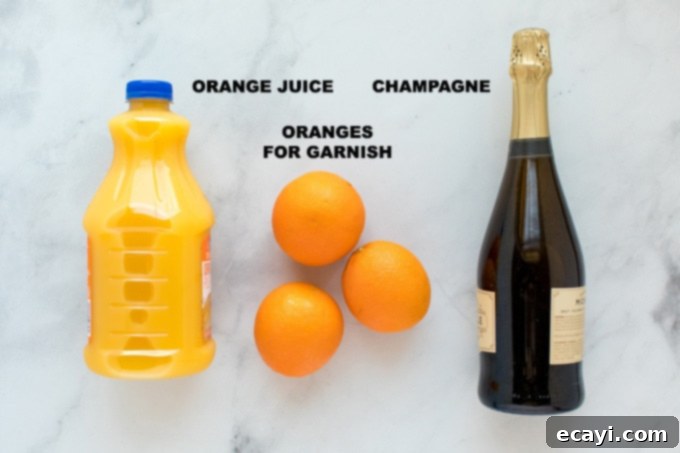 Golden Mimosas 2 close-up of mimosa ingredients: orange juice, champagne, and an orange