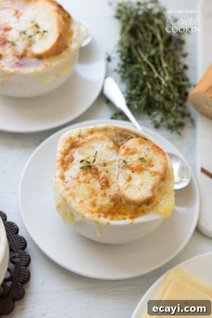 The foundation of a delicious French Onion Soup: perfectly caramelized onions simmered in a rich broth with wine and herbs. A bowl of classic French Onion Soup, showcasing the delicious broth and onion base before adding the cheesy bread