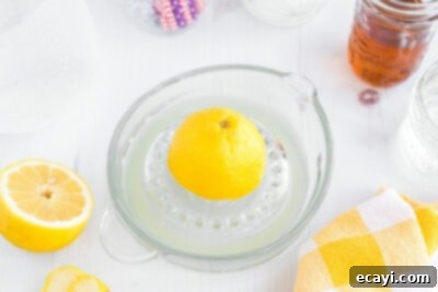 Lynchburg Lemonade 9 juicing a lemon on citrus juicer