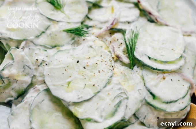 The perfect summer side, this Tzatziki Salad is both healthy and flavorful, making it an ideal recipe to bookmark for refreshing meals. Close-up of the finished Tzatziki Salad, showing thinly sliced cucumbers, red onions, and fresh dill coated in a rich Greek yogurt dressing, ready to be served.