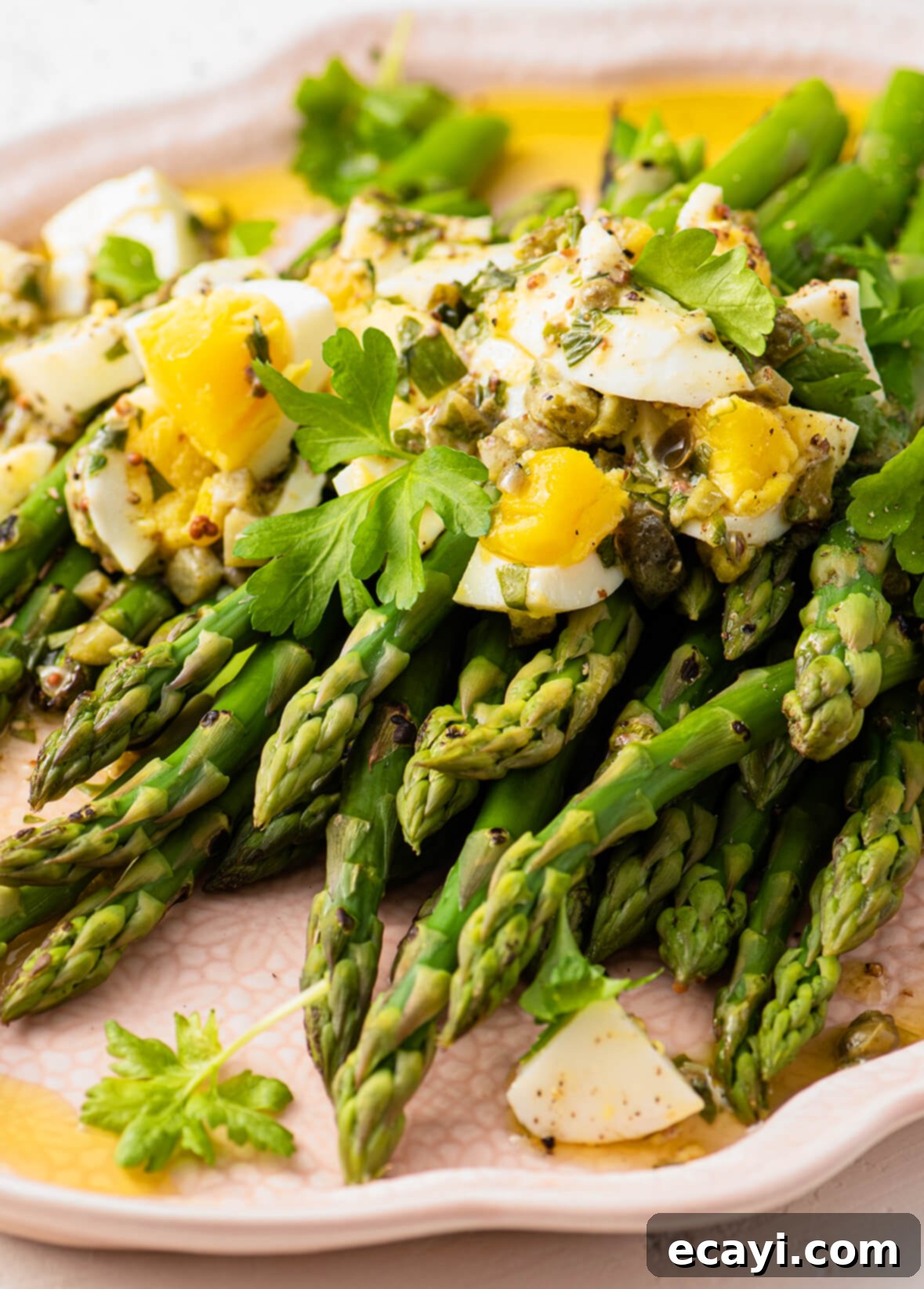 Spring's Bounty: 30 Asparagus Delights 3 Asparagus with Gribiche Dressing - A Classic French Side Dish