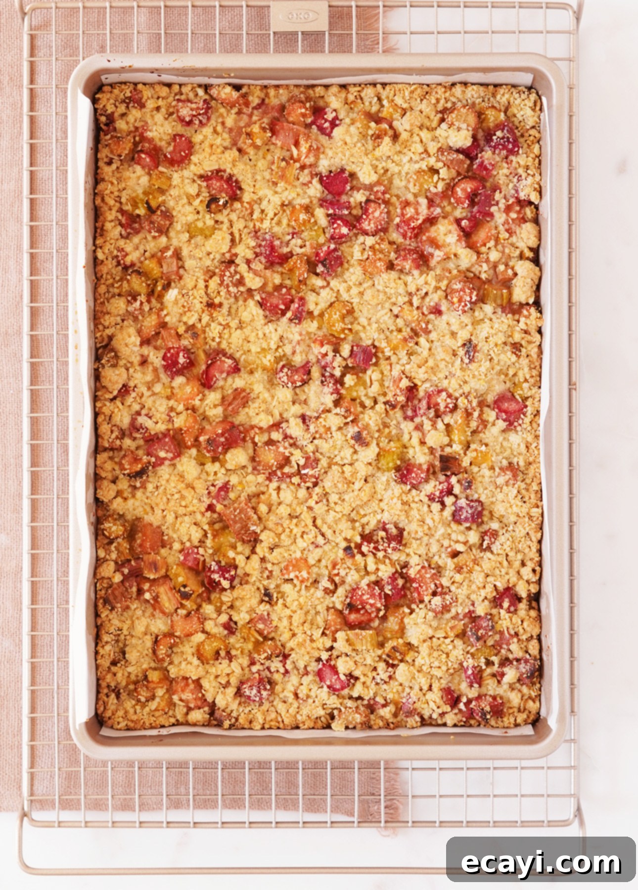 Sunshine Rhubarb Orange Crumble Bars 9 A batch of freshly baked orange rhubarb crumb bars cooling on a wire rack, with steam gently rising. // FoodNouveau.com