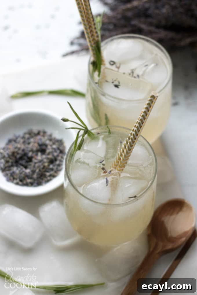 This Lavender Lemonade is made with freshly squeezed lemon juice then sweetened with a lavender-infused simple syrup and garnished with dried lavender! Lavender Lemonade Recipe