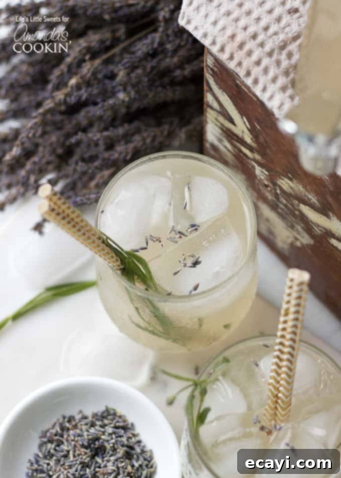 This Lavender Lemonade is made with freshly squeezed lemon juice then sweetened with a lavender-infused simple syrup and garnished with dried lavender! Lavender Lemonade with fresh food grade lavender