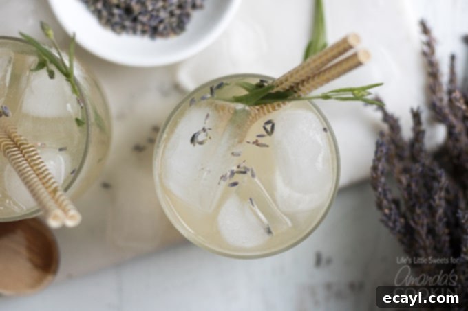 This Lavender Lemonade is made with freshly squeezed lemon juice then sweetened with a lavender-infused simple syrup and garnished with dried lavender! lavender lemonade overhead shot