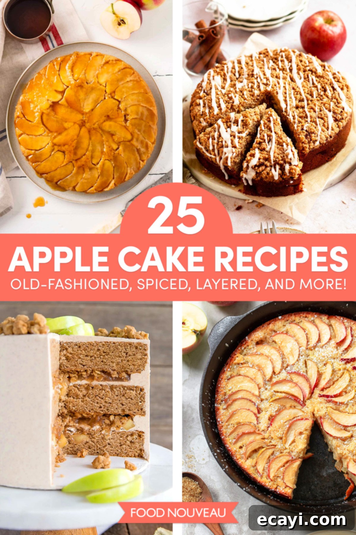 25 Scrumptious Apple Cake Delights 2 25 Sweetly Satisfying Apple Cake Recipes // FoodNouveau.com