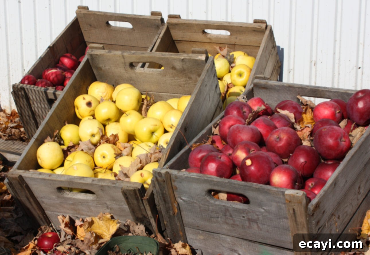 25 Scrumptious Apple Cake Delights 3 Crates of apples at the market // FoodNouveau.com