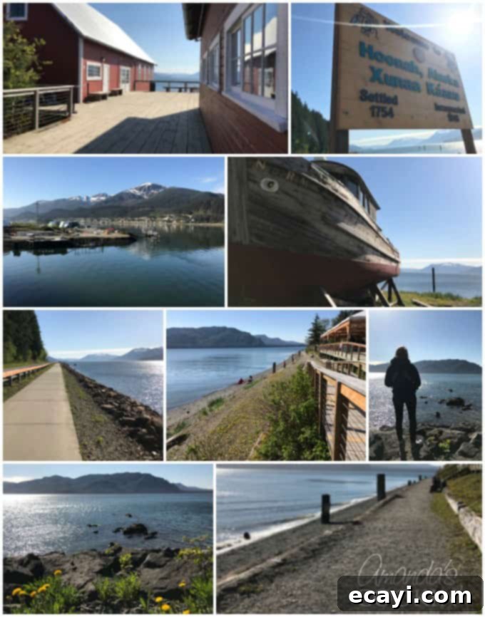 Icy Strait Point Majestic Whale Encounters 11 A beautiful collage of panoramic landscape photos from Alaska, featuring snow-capped mountains, dense forests, and serene waterways under a vast sky.