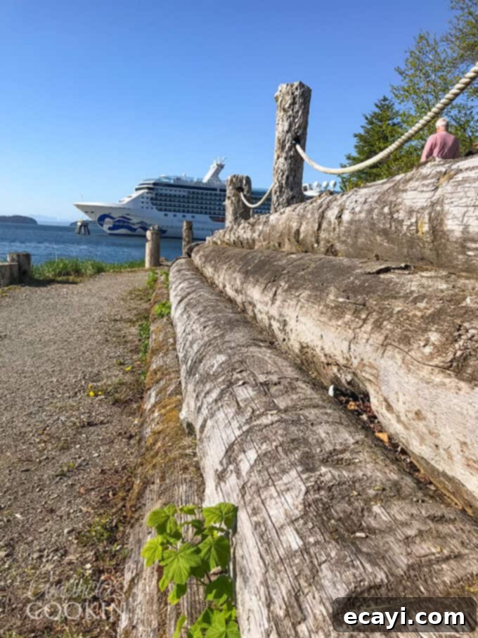 Icy Strait Point Majestic Whale Encounters 12 A weathered wooden log wall in the foreground, with a majestic cruise ship partially visible in the background against a scenic Alaskan sky.
