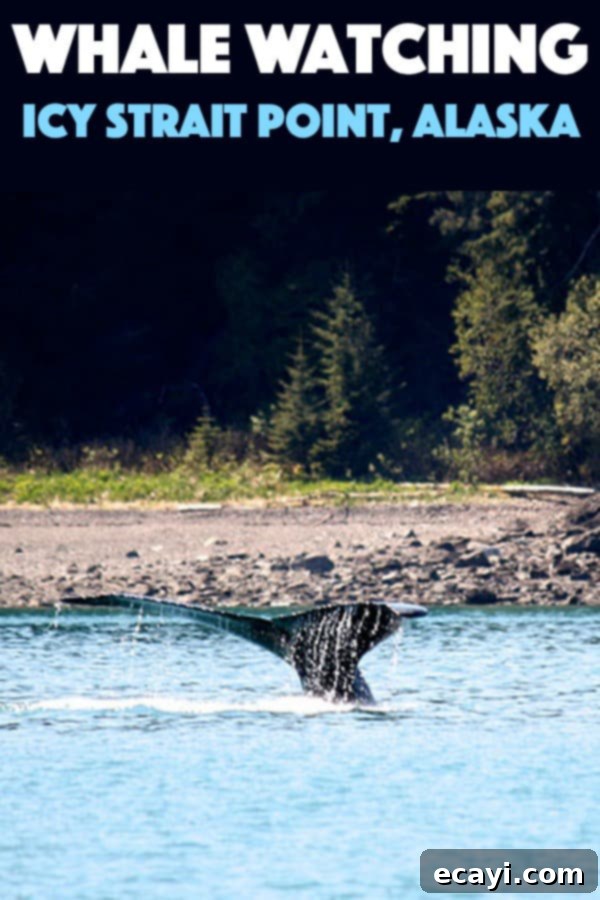 Icy Strait Point Majestic Whale Encounters 13 A magnificent whale tail gracefully emerging from the calm waters of Alaska, captured mid-surface before a deep dive.